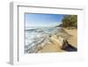 Driftwood on This Beautiful Surf Beach Near Mal Pais, Playa Santa Teresa, Costa Rica-Rob Francis-Framed Photographic Print