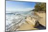 Driftwood on This Beautiful Surf Beach Near Mal Pais, Playa Santa Teresa, Costa Rica-Rob Francis-Mounted Photographic Print