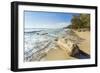 Driftwood on This Beautiful Surf Beach Near Mal Pais, Playa Santa Teresa, Costa Rica-Rob Francis-Framed Photographic Print