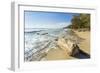 Driftwood on This Beautiful Surf Beach Near Mal Pais, Playa Santa Teresa, Costa Rica-Rob Francis-Framed Photographic Print