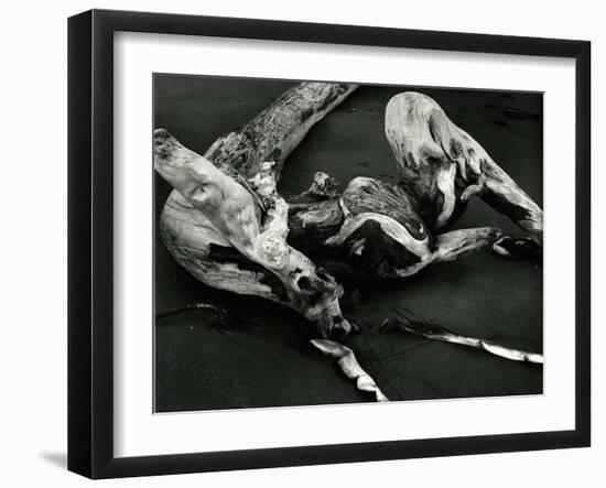 Driftwood, Port Orford, Oregon, 1974-Brett Weston-Framed Premium Photographic Print