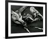 Driftwood, Port Orford, Oregon, 1974-Brett Weston-Framed Photographic Print