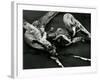 Driftwood, Port Orford, Oregon, 1974-Brett Weston-Framed Photographic Print