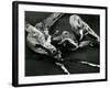 Driftwood, Port Orford, Oregon, 1974-Brett Weston-Framed Photographic Print