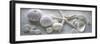 Driftwood Shells I-Bill Philip-Framed Giclee Print