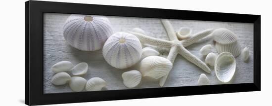 Driftwood Shells I-Bill Philip-Framed Art Print