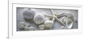 Driftwood Shells I-Bill Philip-Framed Premium Giclee Print