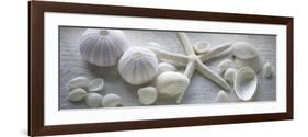 Driftwood Shells I-Bill Philip-Framed Premium Giclee Print