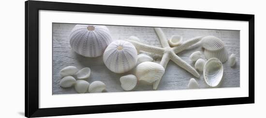 Driftwood Shells I-Bill Philip-Framed Premium Giclee Print