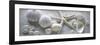 Driftwood Shells I-Bill Philip-Framed Premium Giclee Print