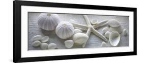 Driftwood Shells I-Bill Philip-Framed Premium Giclee Print