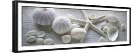 Driftwood Shells I-Bill Philip-Framed Premium Giclee Print