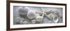 Driftwood Shells I-Bill Philip-Framed Art Print