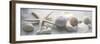 Driftwood Shells II-Bill Philip-Framed Giclee Print