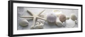 Driftwood Shells II-Bill Philip-Framed Giclee Print