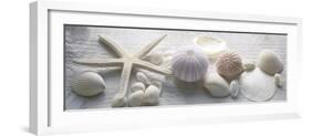 Driftwood Shells II-Bill Philip-Framed Giclee Print