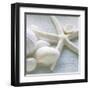 Driftwood Shells III-Bill Philip-Framed Art Print