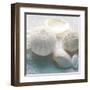 Driftwood Shells IV-Bill Philip-Framed Art Print