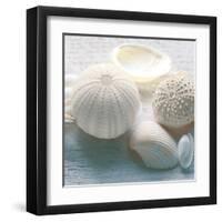 Driftwood Shells IV-Bill Philip-Framed Art Print