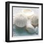 Driftwood Shells IV-Bill Philip-Framed Art Print