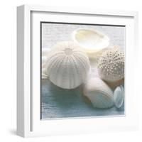 Driftwood Shells IV-Bill Philip-Framed Art Print