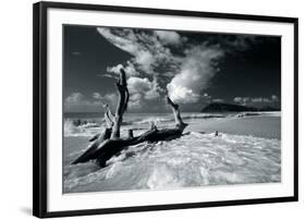 Driftwood Shore-Mike Toy-Framed Giclee Print