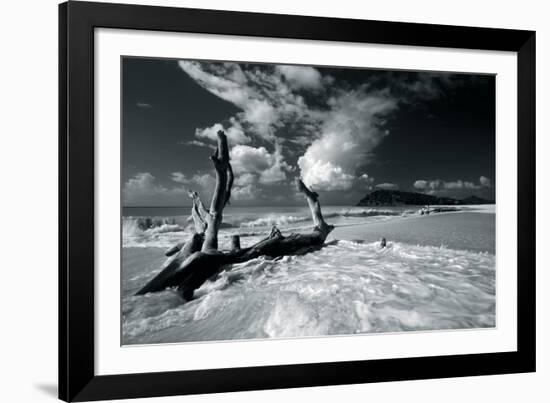 Driftwood Shore-Mike Toy-Framed Giclee Print