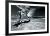 Driftwood Shore-Mike Toy-Framed Giclee Print