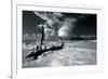 Driftwood Shore-Mike Toy-Framed Giclee Print