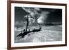 Driftwood Shore-Mike Toy-Framed Giclee Print