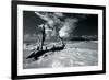 Driftwood Shore-Mike Toy-Framed Giclee Print