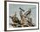 Driftwood Song-Jai Johnson-Framed Giclee Print