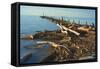 Driftwood Washed On Shore-Anthony Paladino-Framed Stretched Canvas