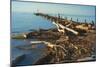 Driftwood Washed On Shore-Anthony Paladino-Mounted Giclee Print