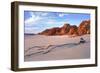 Driftwood-Wayne Bradbury-Framed Photographic Print