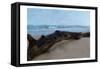 Driftwood-Kimberly Allen-Framed Stretched Canvas