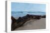 Driftwood-Kimberly Allen-Stretched Canvas