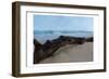 Driftwood-Kimberly Allen-Framed Art Print