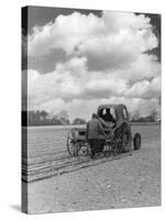 Drilling Sugar Beet-null-Stretched Canvas