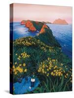 Drink in the View-Scott Westmoreland-Stretched Canvas