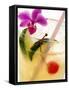 Drink with Lime, Ice, Cocktail Cherry and Orchid-Foodcollection-Framed Stretched Canvas