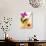 Drink with Lime, Ice, Cocktail Cherry and Orchid-Foodcollection-Photographic Print displayed on a wall