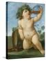 Drinking Bacchus Portrayed as a Boy, C. 1623-Guido Reni-Stretched Canvas