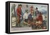 Drinking Cocoa at Camp, Alaska-null-Framed Stretched Canvas