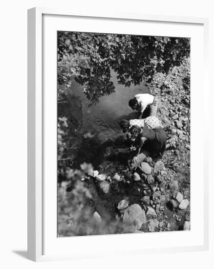 Drinking from a Stream-null-Framed Photographic Print