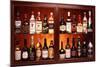 Drinks Cabinet-Victor De Schwanberg-Mounted Premium Photographic Print