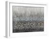 Drip Field 1-Doris Charest-Framed Art Print