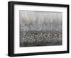 Drip Field 1-Doris Charest-Framed Art Print