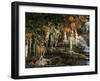 Drip Irrigation Creates Icicles and Forms an Insulation and Way of Protecting Oranges on the Trees-Gary Kazanjian-Framed Premium Photographic Print