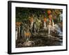 Drip Irrigation Creates Icicles and Forms an Insulation and Way of Protecting Oranges on the Trees-Gary Kazanjian-Framed Photographic Print